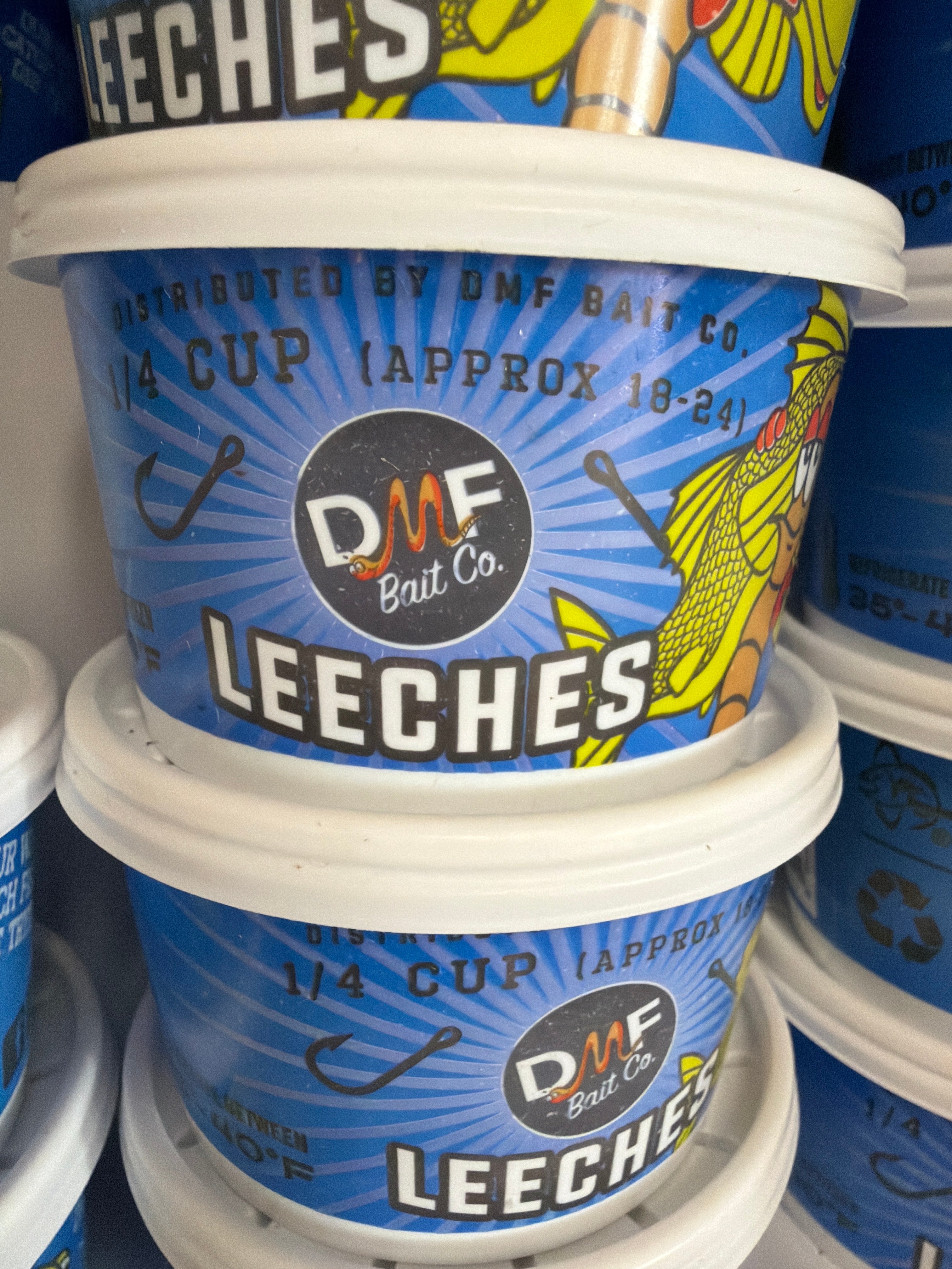 Leeches