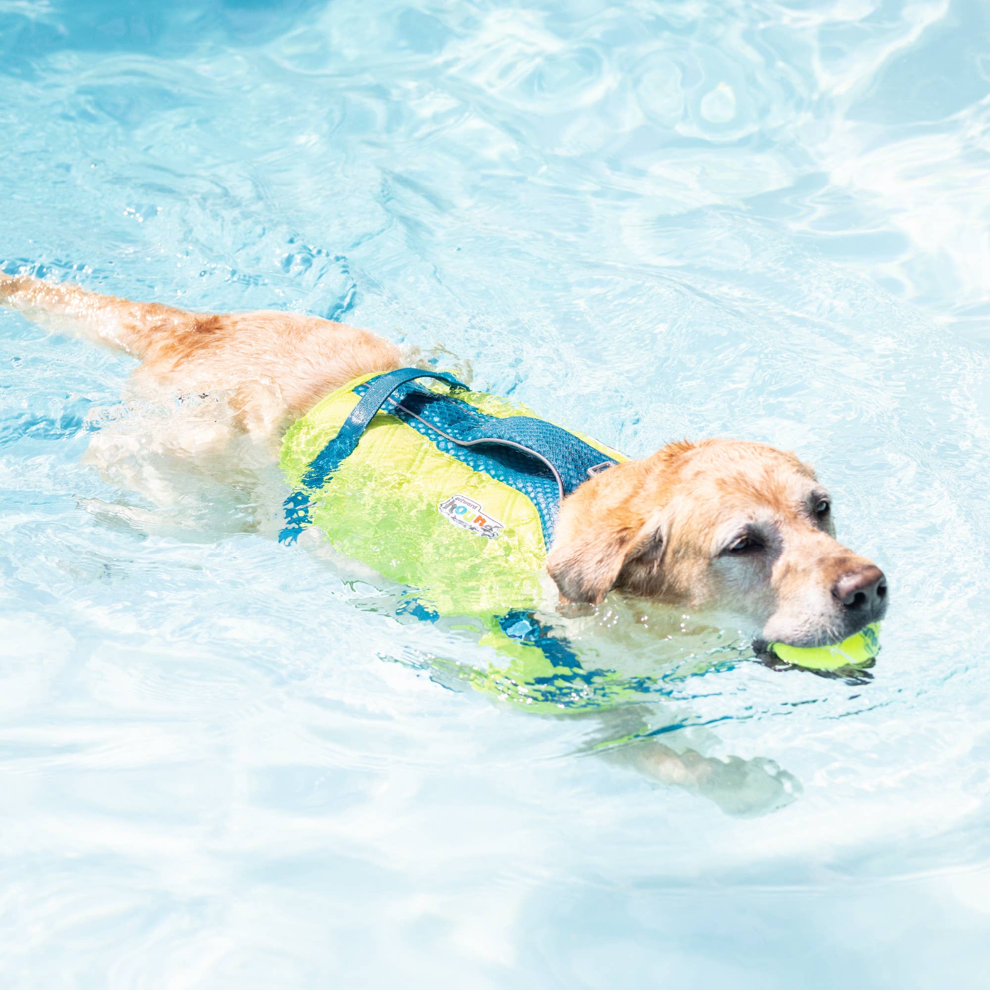 Outward Hound Standley Sport Life Jacket Green Medium