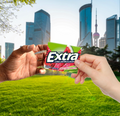 EXTRA Gum Sweet Watermelon Sugarfree  15 Count